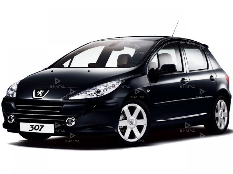 Диагностика двигателя Peugeot 307 в Санкт-Петербурге