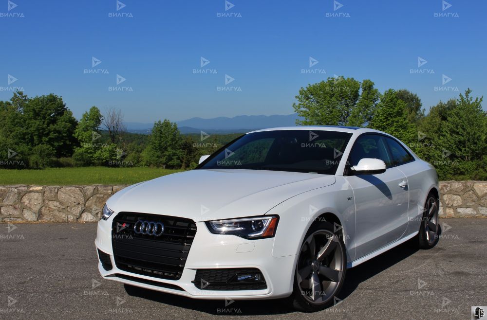 Диагностика бензинового двигателя Audi S5 в Санкт-Петербурге Диагностика бензинового двигателя Audi S5 в Санкт-Петербурге