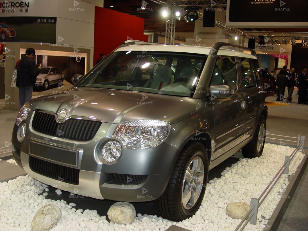 Замена дроссельной заслонки Škoda Yeti в Санкт-Петербурге